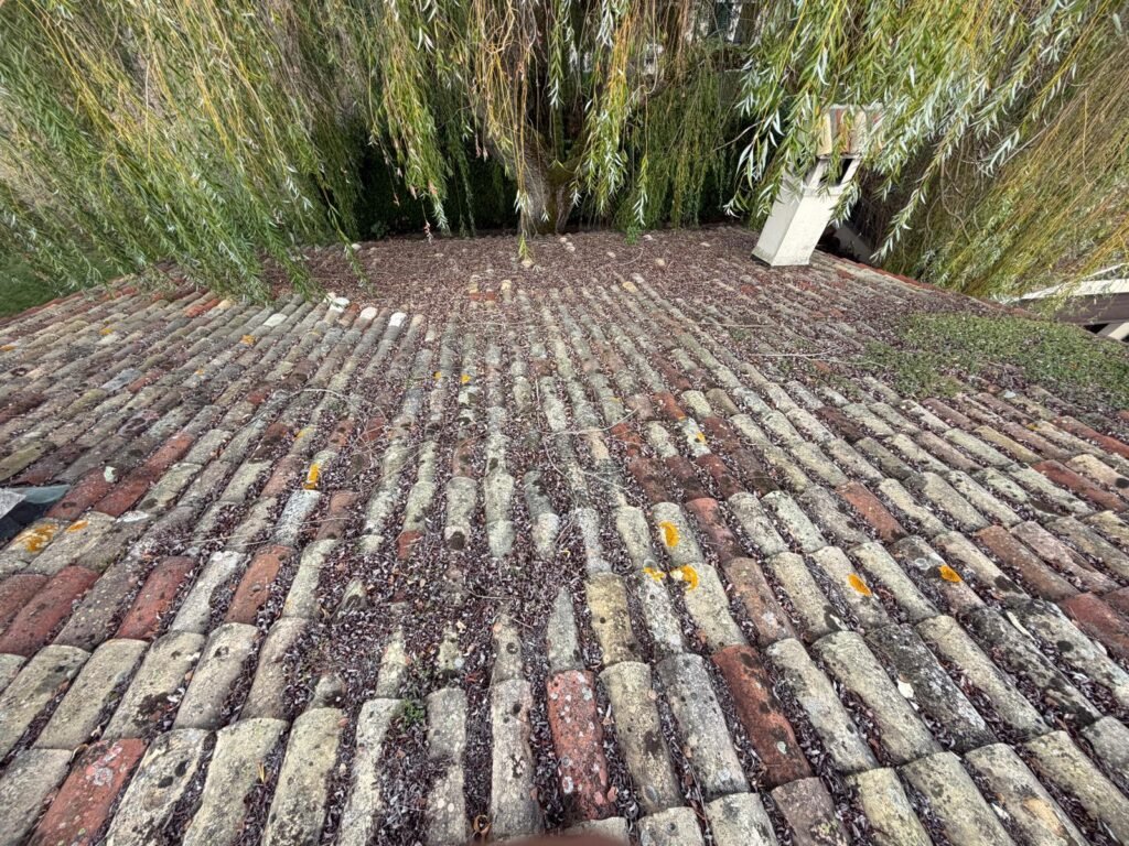Toiture en tuiles canal anciennes encrassées, avant démoussage